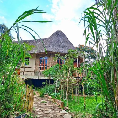 Chimpanzee Capital Safari Lodge Bigodi Exterior foto